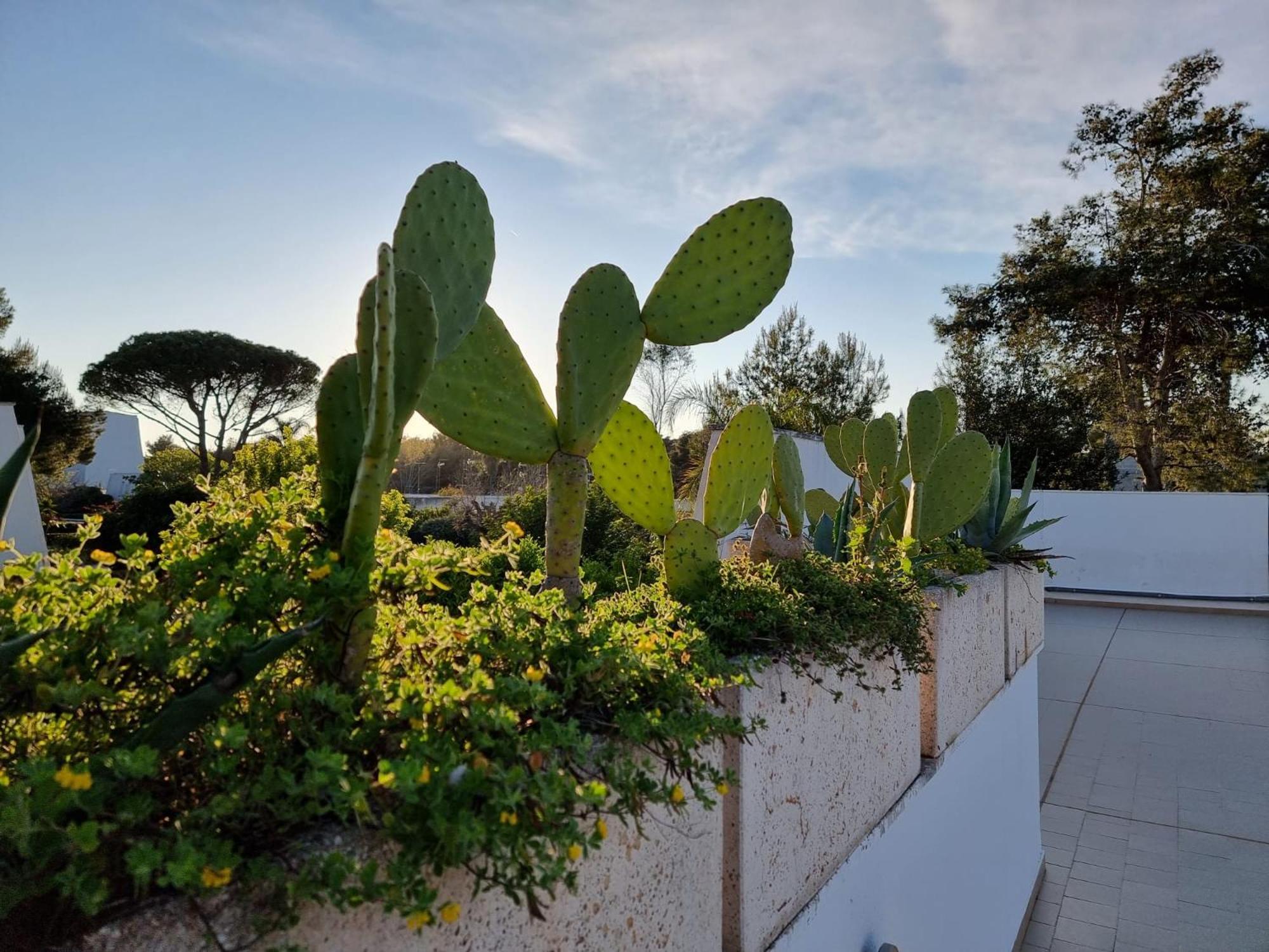73059 Villa Ugento Luaran gambar